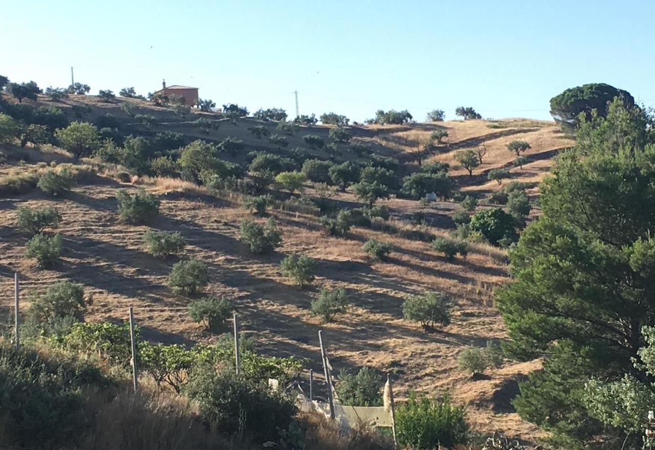 Almuñécar Algarrobo Azulヴィラ エクステリア 写真